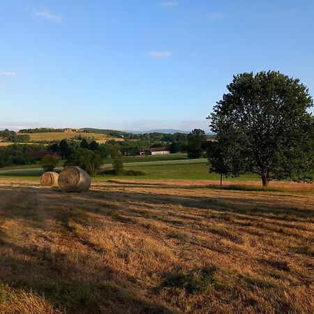Szewska Pasja Agroturystyka Wiejska Leśna Buitenkant foto