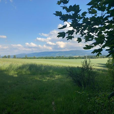 Szewska Pasja Agroturystyka Wiejska Leśna Buitenkant foto