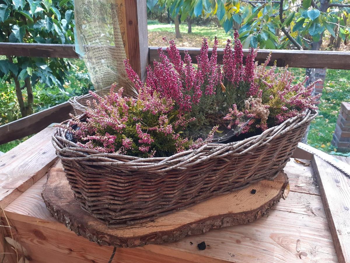 Szewska Pasja Agroturystyka Wiejska Leśna Buitenkant foto