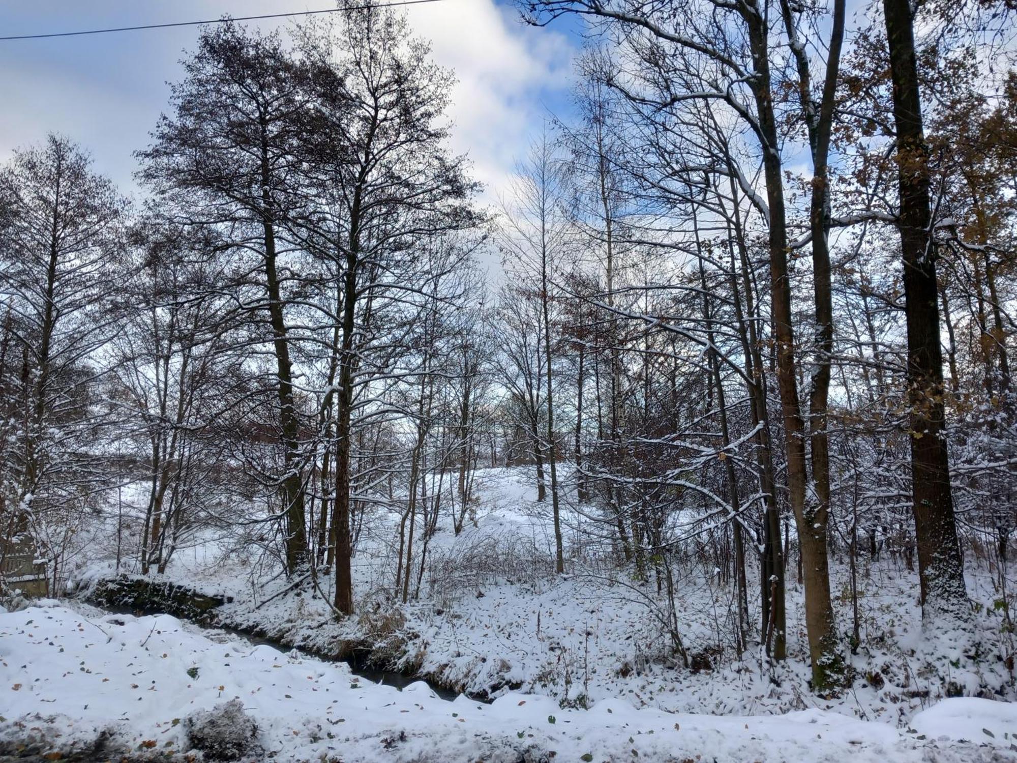 Szewska Pasja Agroturystyka Wiejska Leśna Buitenkant foto